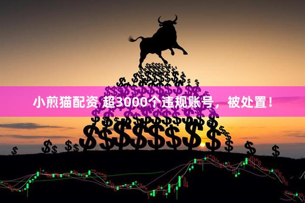 小煎猫配资 超3000个违规账号，被处置！