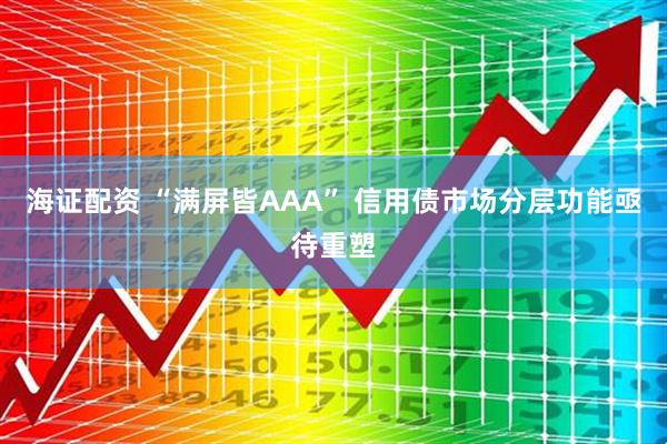 海证配资 “满屏皆AAA” 信用债市场分层功能亟待重塑