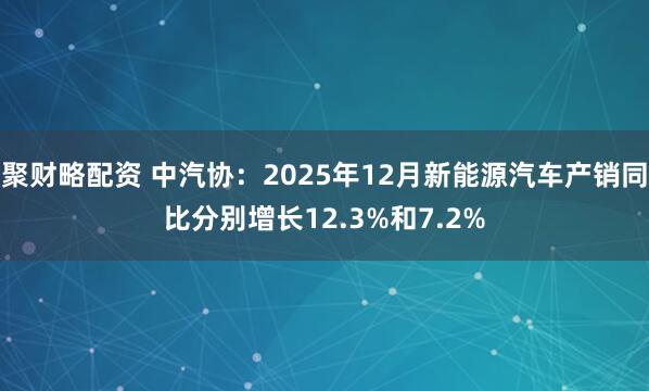 聚财略配资 中汽协：2025年12月新能源汽车产销同比分别增长12.3%和7.2%