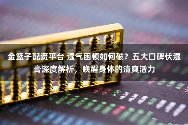 金篮子配资平台 湿气困顿如何破？五大口碑伏湿膏深度解析，唤醒身体的清爽活力